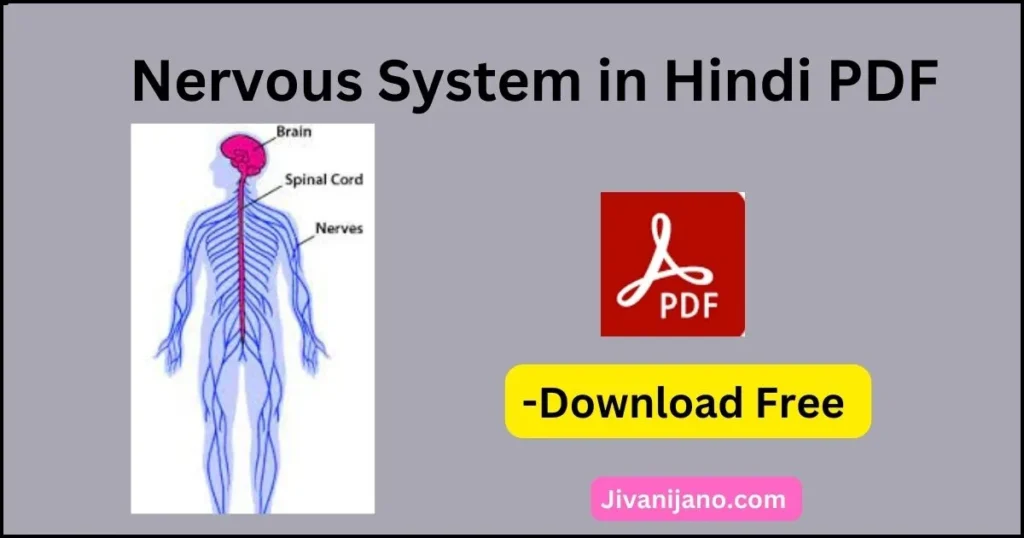 Nervous System in Hindi PDF